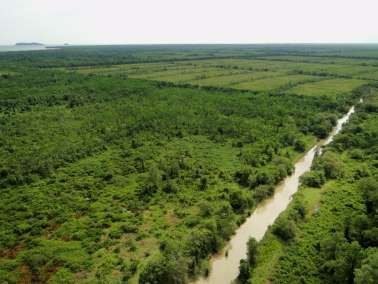 Atlas des Paysages Actualisation - GUYANE