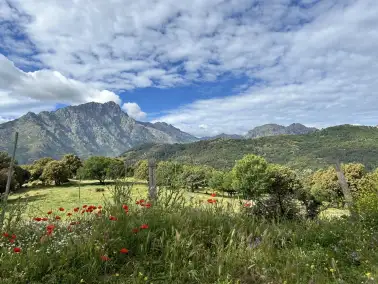 Plan de Paysage U Ghjunsani - CORSE
