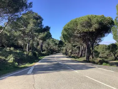 PIDAF - TOULON PROVENCE MEDITERRANEE