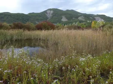 Jardin des Libellules - LA SAULCE 05
