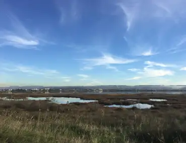 Promenade du Bolmon - MARIGNANE 13